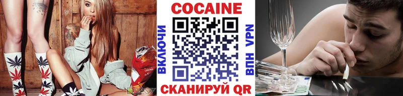 продажа наркотиков  Елизово  Cocaine Эквадор 