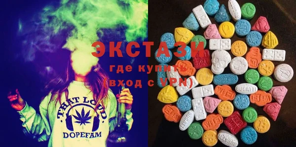ECSTASY Каменка