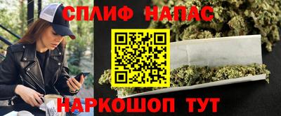 стаф Бузулук