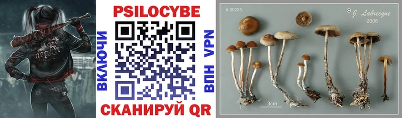 OMG ссылки  Елизово  Галлюциногенные грибы мухоморы 