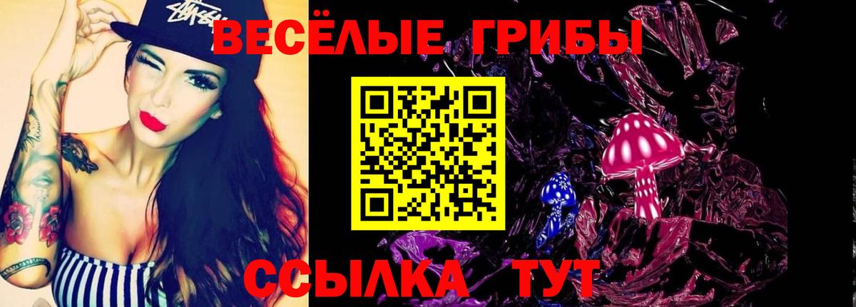 Псилоцибиновые грибы Psilocybine cubensis  Вход с VPN  сколько стоит  Елизово 