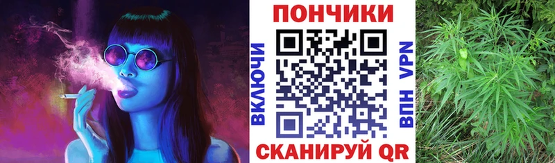 магазин  наркотиков  omg зеркало  Конопля индика  Елизово 
